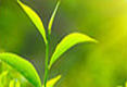 /beijingtiaojiyi.html